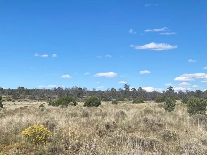 Pinehill, Cibola County, NM Recreational Property for sale Property ID: 418816416