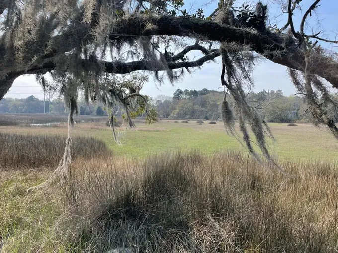 558 River Road, Johns Island, SC 29455 for Sale