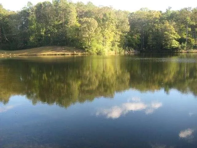 000 Mallard Bay Drive, Heathsville, VA 22473  613095374 for Sale