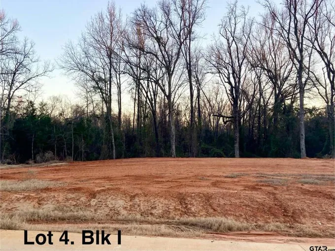 12331 HACKBERRY HOLLOW LOT 4, Lindale, TX 75706 Single Family Residence For Sale  MLS# 24001337
