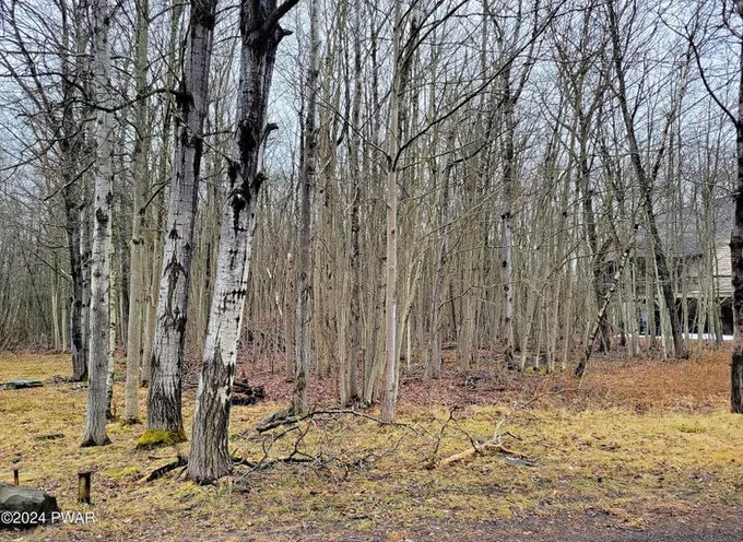 Lake Ariel, Wayne County, PA Undeveloped Land, Homesites for sale Property ID: 418838089