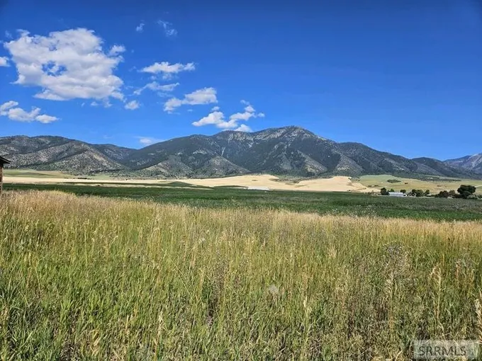 Swan Valley, Bonneville County, ID Undeveloped Land for sale Property ID: 418817867