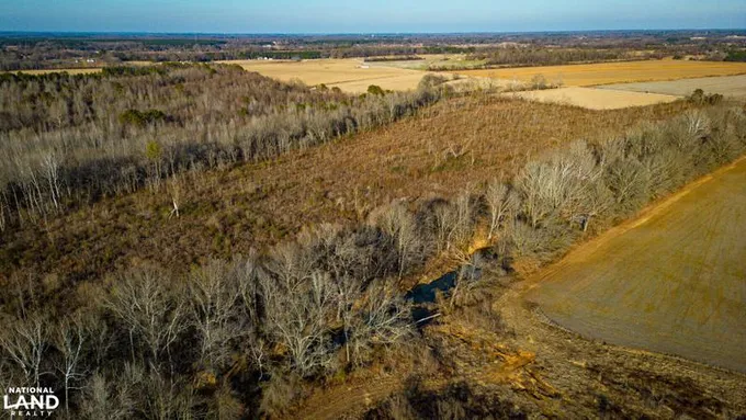 New Albany, Union County, MS Recreational Property, Timberland Property, Hunting Property for sale Property ID: 418712192