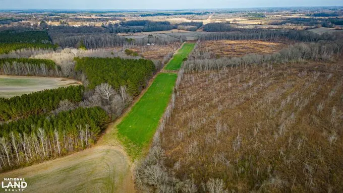 New Albany, Union County, MS Recreational Property, Timberland Property, Hunting Property for sale Property ID: 418712191