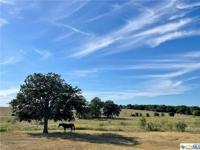 5867 State Highway 304, Rosanky, TX 78953 for Sale
