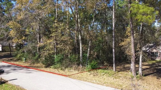 0 Lot 10 Beech, Conroe, TX 77385 - MLS 98981650 for Sale