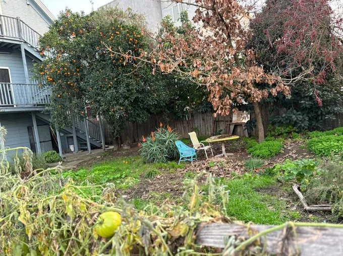 920 Tomato Alley, Sacramento, CA 95818 - MLS 224007119 for Sale