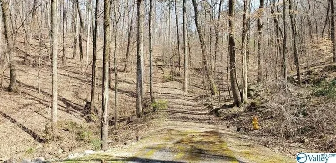 Gadsden, Etowah County, AL Undeveloped Land, Homesites for sale Property ID: 418708451