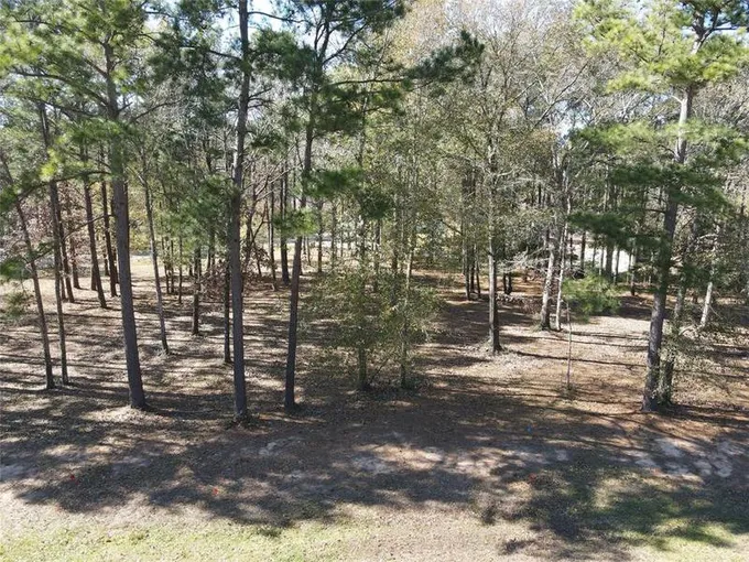14783 Turquoise Trl, Willis, TX 77378 for Sale
