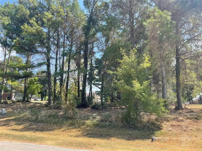 18 & 20 Harbour Point Cir, Coldspring, TX 77331 for Sale