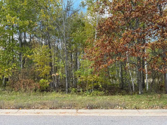 Tbd Airport Road, Breezy Point, MN 56472 for Sale
