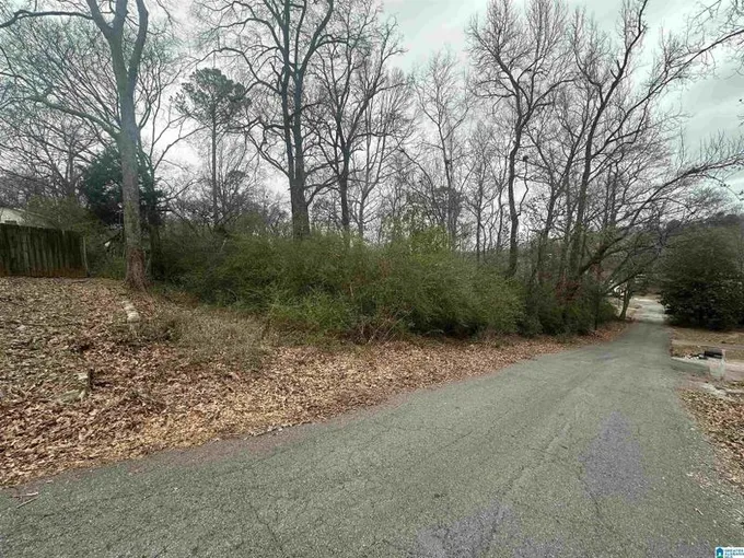 Midfield, Jefferson County, AL Undeveloped Land, Homesites for sale Property ID: 418916218