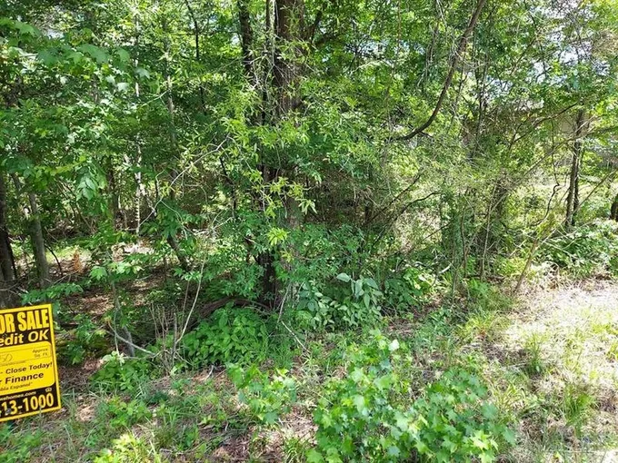 0 Joe Thomas Road, Texarkana, TX 75501 for Sale