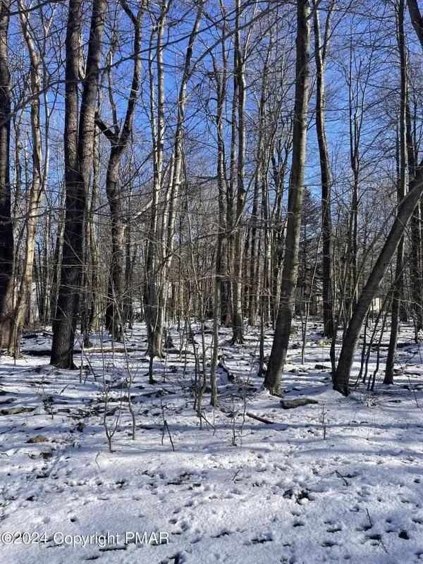 Tobyhanna, Monroe County, PA Undeveloped Land, Homesites for sale Property ID: 418837462
