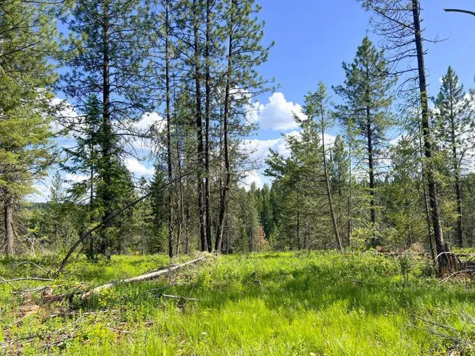 47X- 2 BOWLER RD, SPRINGDALE, WA 99173 Land For Sale  MLS# 43019