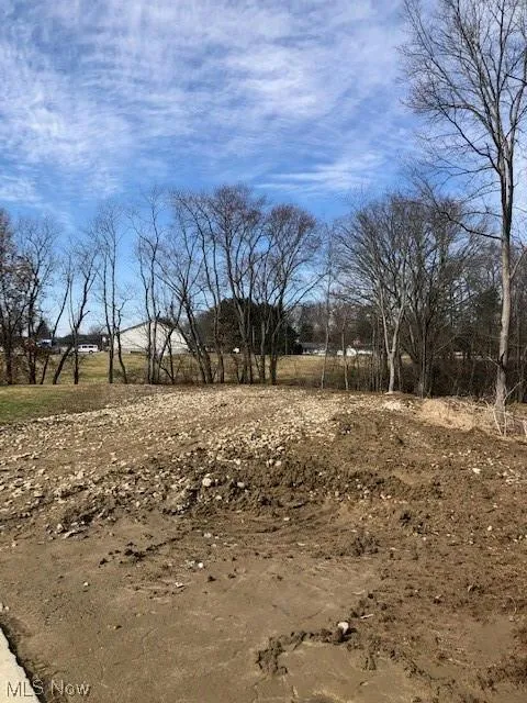 LEVEE, Magnolia, OH 44643 Single Family Residence For Sale  MLS# 5011222