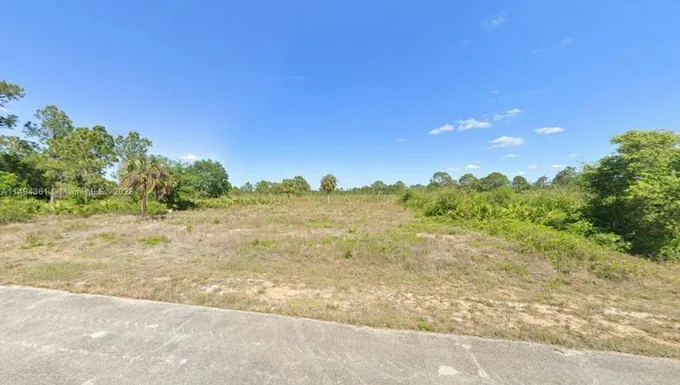 1512 EDISON AVE, Lehigh Acres, FL 33972 Single Family Residence For Sale  MLS# A11494361