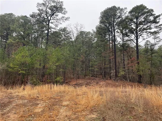 59940 S 4700 RD, Watts, OK 74964 Land For Sale  MLS# 1266478