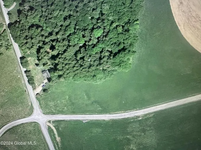 L15 SHEW HOLLOW ROAD, Jefferson, NY 12093 Land For Sale  MLS# 202411337