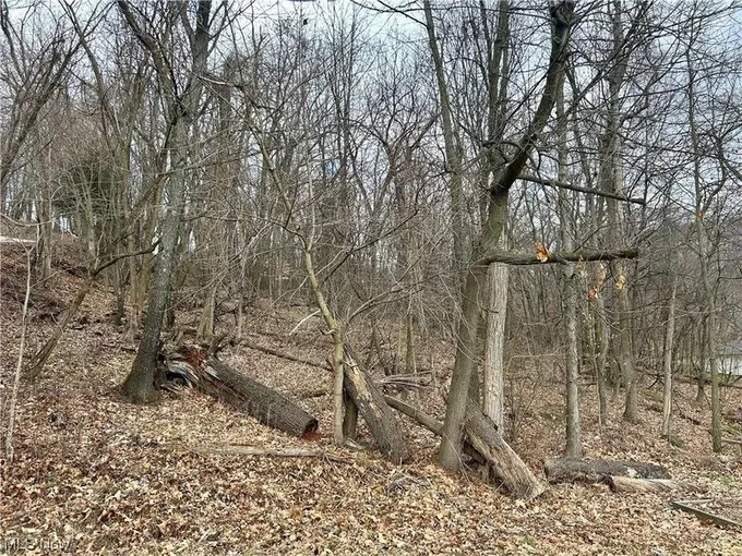 Malvern, Carroll County, OH Undeveloped Land, Lakefront Property, Waterfront Property, Homesites for sale Property ID: 418911536