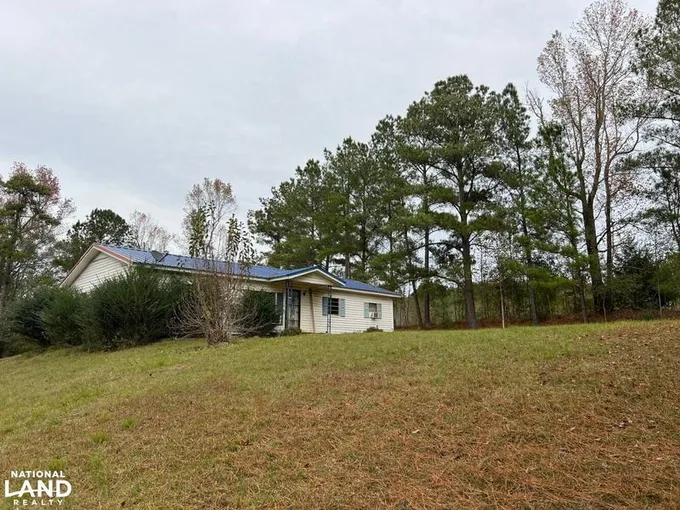 Abbeville, Henry County, AL Recreational Property, Hunting Property for sale Property ID: 418701455