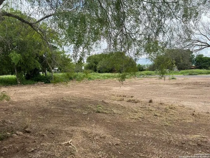1015 E Pearson St, Freer, TX 78357 for Sale