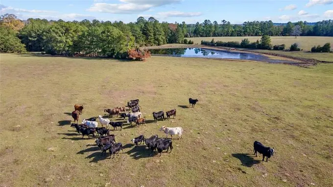 4138 CR 2570, Woodville, TX 75979 for Sale