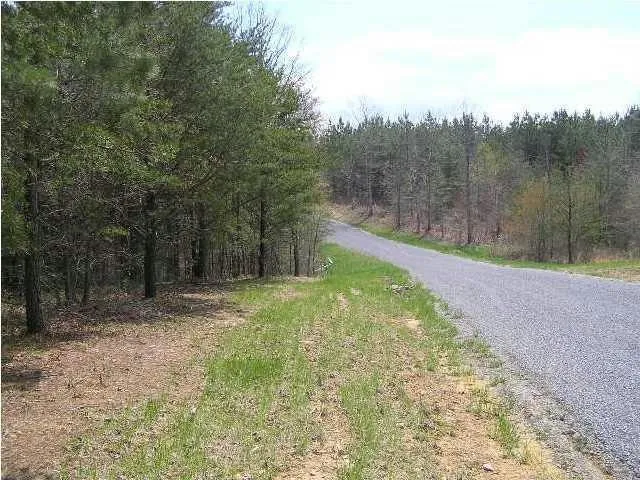 302 TRAIL OF TEARS RD, Spencer, TN 38585 Land For Sale  MLS# 2612411