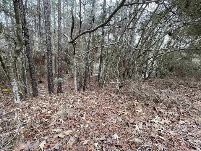 Brookeland, Jasper County, TX Undeveloped Land, Homesites for sale Property ID: 418871083