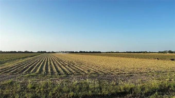 0 County Rd 384, Louise, TX 77455 for Sale