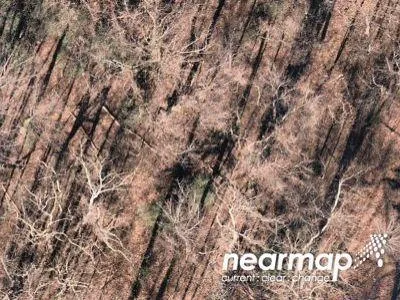 Drum Cliff Rd for Sale