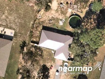 Snowy Egret Ave for Sale
