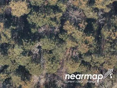 Needmore Rd for Sale