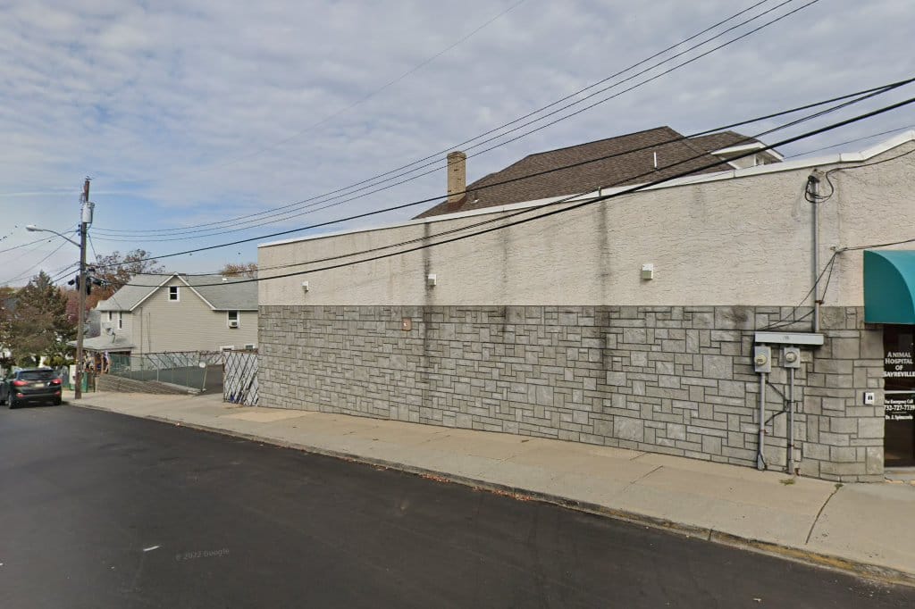 Rahway Animal Hospital in Carteret, NJ The County Office