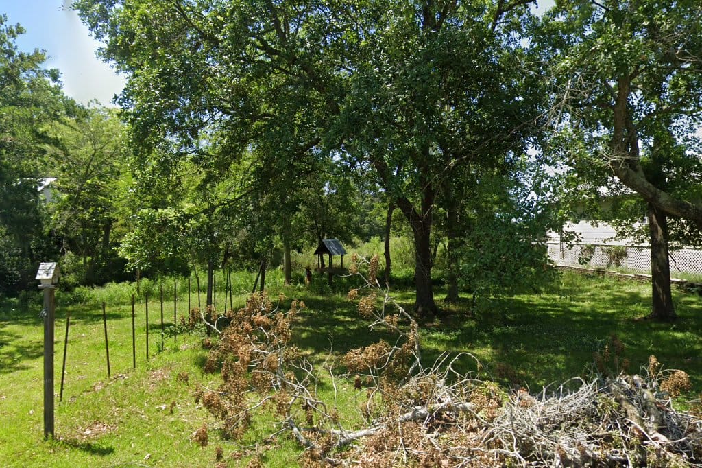 Animal Shelter In Jackson County MS The County Office animal-shelter-in-jackson-county-ms-the-county-office