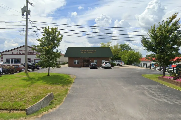 Commonwealth Animal Hospital
