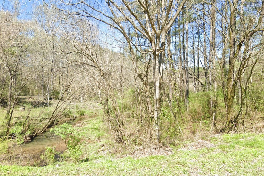 Adamsville Elementary School