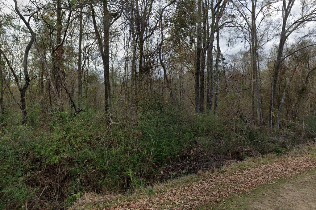 Fayette Justice Court
