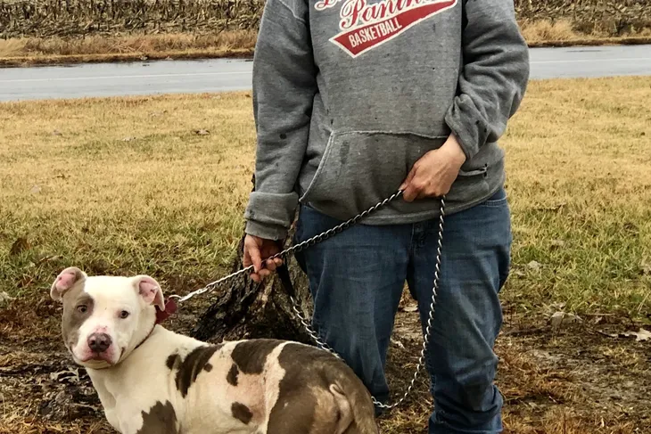 Dr. Carl Henry Animal Shelter