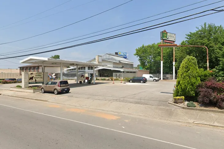 Audubon Animal Hospital
