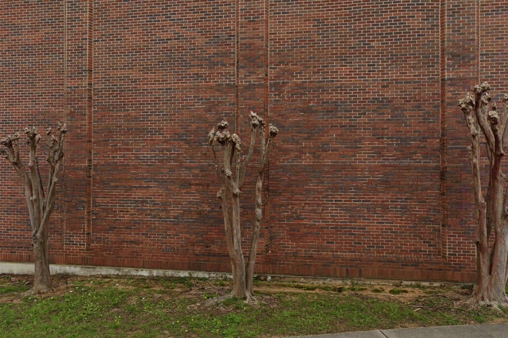 Brent Elementary School