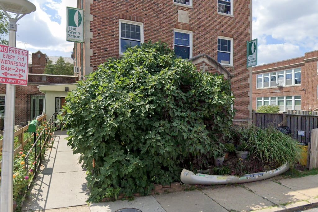 The Green School