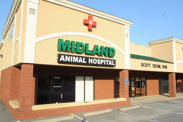 Midlan Animal Hospital