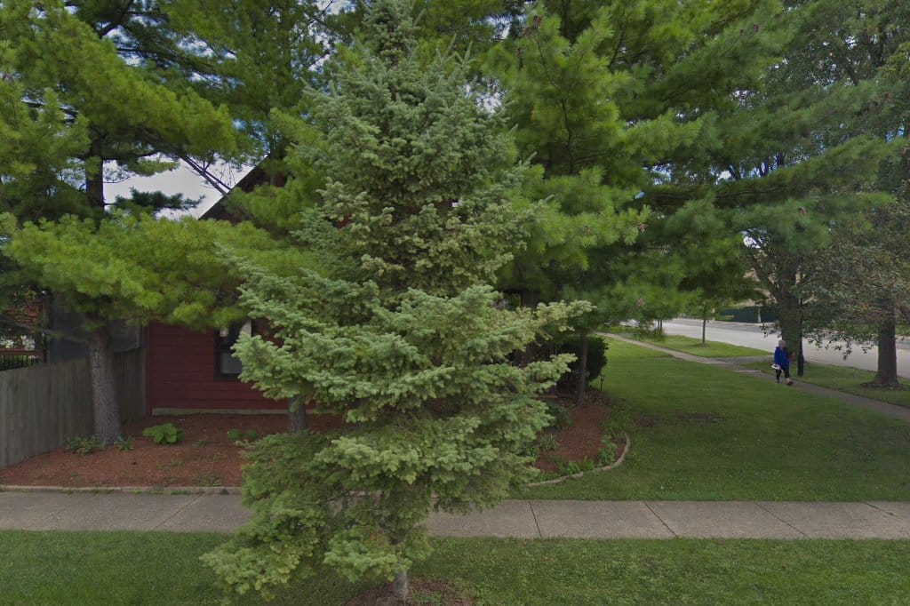 Roy Elementary School