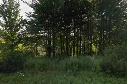 Pleasant View Amish School