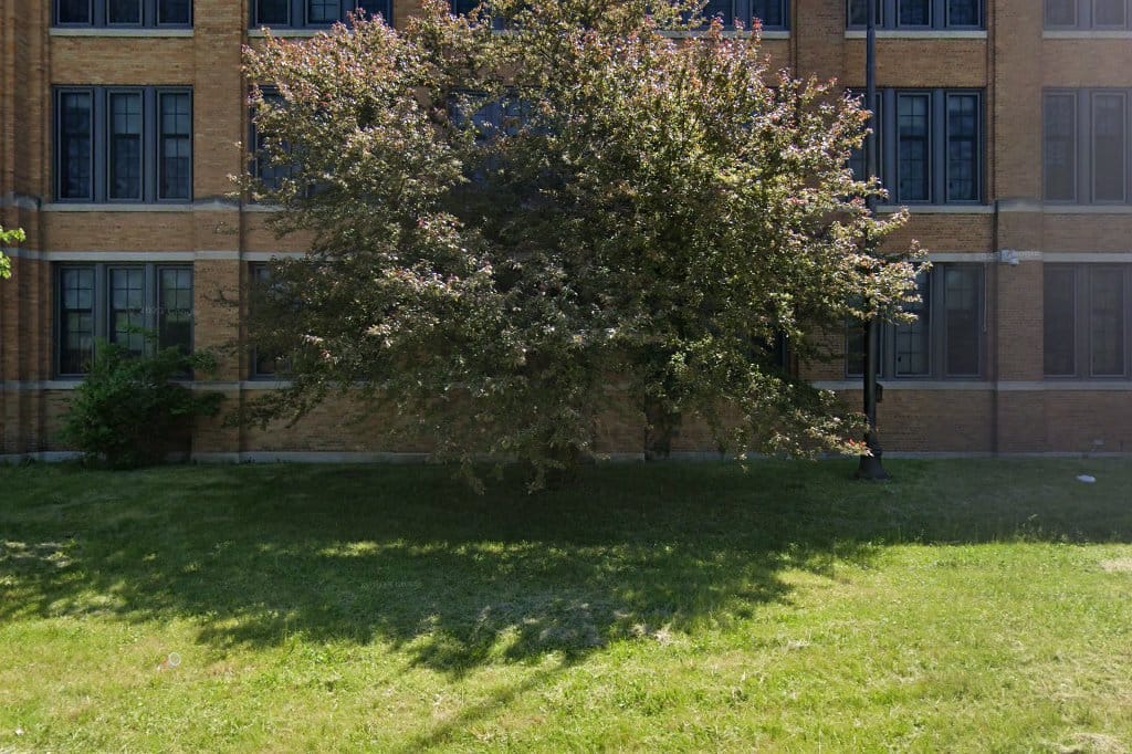 Yale Elementary School