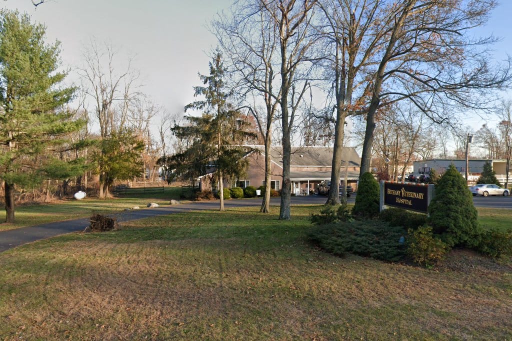 Bethany Veterinary Hospital