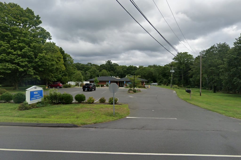 Cheshire Veterinary Hospital