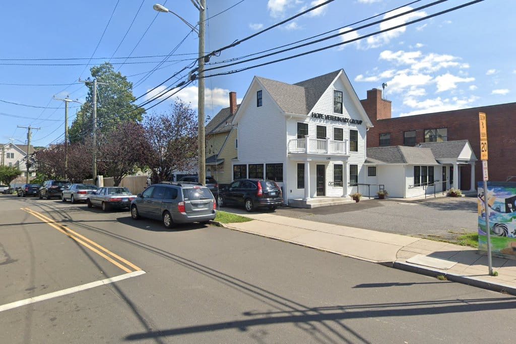 Stamford & Springdale Animal Hospital