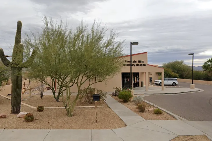 Fountain Hills Veterinary Hospital